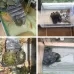 Large Turtle Aquascape Climbing Platform Reptile Hiding Cave Three Legged Turtle Platform
