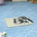 Cat Scratch Pad Pet Supplies Carpet Sleeping Mat Cat Placemat Random Color Delivery