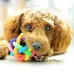 Fun Colorful Weave Style Bell Ball Pet Toy