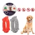 Flea and Tick Collar for Dogs Cats With Aluminum Case 72cm