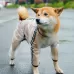 Dog Raincoat Four Foot Waterproof Transparent Reflective Poncho