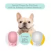 350 ml Portable Pet Dog Water Bottle Small Large Dog Travel Puppy Cat Drinking Water Bowl Outdoor Pet Water Dispenser Feeder Pet Supplies