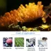 Jebao DP 4  Auto Dosing Pump Peristalsis Pump 4-Channel Dosing Aquarium Tank Coral Reef Automatic Feeder Liquid Dispenser US Plug
