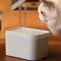 Cat Automatic Circulation Flow Drinking Fountain USB Anti-drying Transparent
