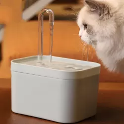 Cat Automatic Circulation Flow Drinking Fountain USB Anti-drying Transparent