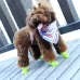 Lovely Pet Dog Shoes Puppy Candy Color Rubber Boots Waterproof Rain Shoes