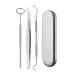 3 in 1 Silver Box Stainless Steel Dental Tools Dental Care Tartar Tool Dentist Tool Set