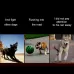 Medium and Large Dog Pet Solar and USB Charging LED Light Collar Neck Circumference
