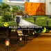 2 PCS Outdoor Courtyard Solar Flame Light Park Lawn Decoration Waterproof Landscape Light 12 LED