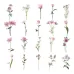40 in 1 Fresh Hand Account Diary DIY Sticker Color Random Delivery