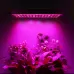 45W 144LEDs Full Spectrum Plant Lighting Fitolampy For Plants Flowers Seedling Cultivation Growing Lamps LED Grow Light AC85-265V US