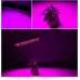 25W 75LEDs Full Spectrum Plant Lighting Fitolampy For Plants Flowers Seedling Cultivation Growing Lamps LED Grow Light AC85-265V EU