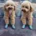 4 PCS one Set Breathable Non-slip Wear-resistant Dog Shoes Pet Supplies