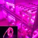5m 300 LEDs SMD 5050 Full Spectrum LED Strip Light Fitolampy Grow Lights for Greenhouse Hydroponic Plant Waterproof