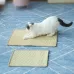 Cat Scratch Pad Pet Supplies Carpet Sleeping Mat Cat Placemat Random Color Delivery