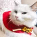 Pet Mini Cold-proof Red Cloak Neck Bell Christmas Shawl Cloak