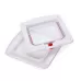 Cat or Small-scale Dog Friendly Transparent Flap Universal 4 Way Locking