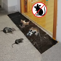 2 pcs Mouse Rodent Glue Rat Trap Board Mice Killer