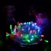 10m Waterproof String Light