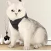 Cat Leash Pet Chest Harness Leash
