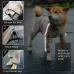 Dog Raincoat Four Foot Waterproof Transparent Reflective Poncho