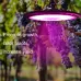 200W XYG-UFO High-Power Plant Growth 144LED Light EU Plug