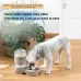 Utility Automatic Drinking Water Dispenser Detachable Bottle with Dish Feeder for Cats and Dogs Random Color Delivery