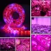 5m 300 LEDs SMD 5050 Full Spectrum LED Strip Light Fitolampy Grow Lights for Greenhouse Hydroponic Plant Waterproof