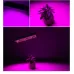 25W 75LEDs Full Spectrum Plant Lighting Fitolampy For Plants Flowers Seedling Cultivation Growing Lamps LED Grow Light AC85-265V EU