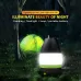 L001 5W USB Charging Hand-held LED Camping Lamp with Power Bank Function Green