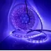 2835 SMD UV Purple Light Strip Epoxy LED Lamp Decorative Light Strip