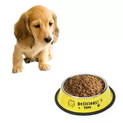 Stainless Steel Bowls Anti-slip Colorful Paint Printed Pets Bowls