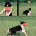 Pet Toy Flying Disc Pet Interactive Training Floating Water Bite-Resistant Soft Flying Disc