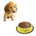 Stainless Steel Bowls Anti-slip Colorful Paint Printed Pets Bowls