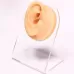 Simulation Facial Features Silicone Model Practice Display Props Right Ear