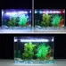 Q20CF RGB Light 90-260V Aquarium Diving Light LED Fish Tank Light