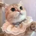Pet Bib Adjustable Saliva Towel Lace Pearl Pendant Dog Collar
