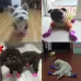 Lovely Pet Dog Shoes Puppy Candy Color Rubber Boots Waterproof Rain Shoes