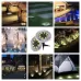 2 PCS 8 LEDs IP44 Waterproof Solar Powered Buried Light