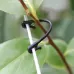 100 PCS / 2 Packs Gardening Vine Grape Tied Tie Strap