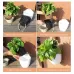 Self-Watering Planter Grow Plants Lazy Flower Pots Wall-hanging Round Resin Plastic Flower Pots