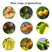 Stainless Steel Aerial Fruit Picker Fruit Picking Tools
