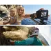 ABS Plastic Housing Shell Frame Mount Protective Case Cage with Pedestal and Long Screw for GoPro HERO 2018 or 7 Black or 6 or 5
