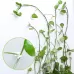 10 PCS Lulu Climbing Wall Fixer Vine Climbing Wall Sticking Hook