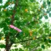 100 PCS Gardening Plant Sapling Seed Hanging Tree Label White