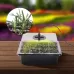 5 Set Plant Seed Starter Trays Kit Seedling Tray Starter With Grow Light