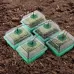 5 Set Plant Seed Starter Trays Kit Seedling Tray Starter With Grow Light