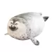 60cm Seal Pillow Aquarium Plush Toy Squint