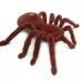 Electric Animal Toy Infrared Remote Control Simulation Spider Model Brown