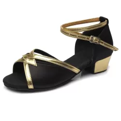 Tango Salsa Latin Low Heel Soft Bottom Dance Shoes for Girls or Women